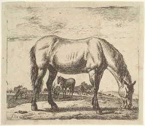 Grazend Paard, uit Verschillende Dieren