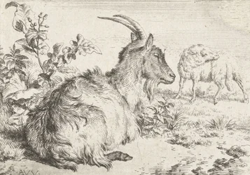 Liggende geit, 1670