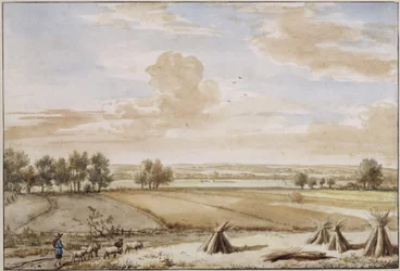 Zomers laaglandschap met rijpe korenvelden