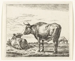 Staande stier