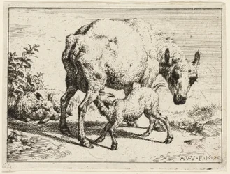 Het Lam