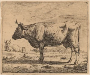 Twee Koeien en een Schaap