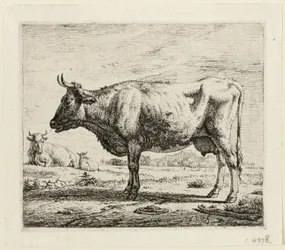Twee koeien en een schaap