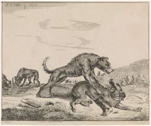 Vechtende honden
