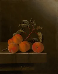Stilleven met vijf abrikozen, 1704
