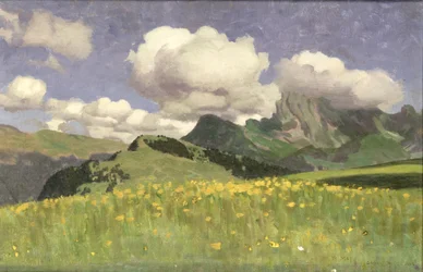 Een veld met goudsbloemen, Lage Alpen, 1902