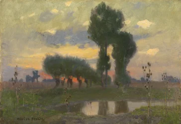 Avond op de Vlakte