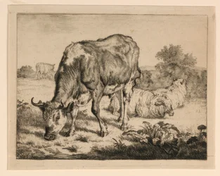 Os en drie schapen