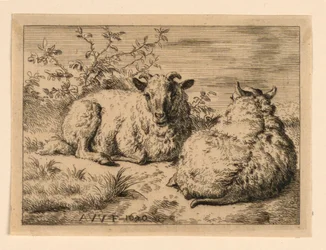 De Twee Schapen