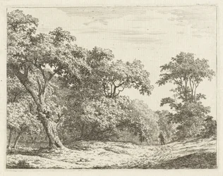 Landschap met bomen en een man op weg