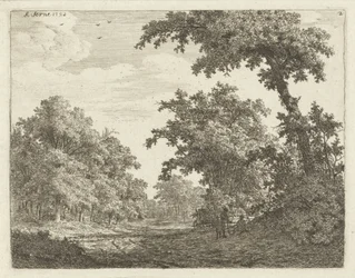 Rustende reizigers langs een weg in het bos