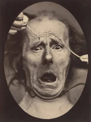 Electro-Physiologie, figuur 64, 1854-56, gedrukt 1862