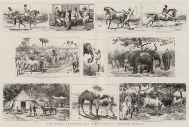 De grote olifanten- en paardenmarkt in Sonepur, Bengalen
