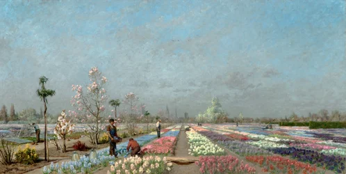 De hyacintvelden in bloei bij de Van Houtte-kwekerij, Gent met uitzicht op de Sint-Niklaaskerk, het Belfort en de Sint-Baafskathedraal, 1883