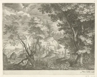 Boslandschap met houten brug