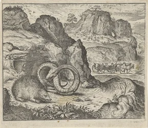 Fabel van de egel en de slang