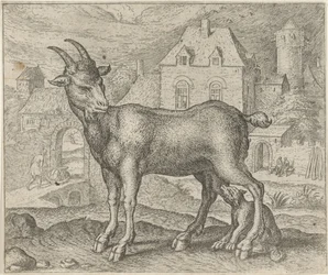 Fabel van de geit en de jonge wolf