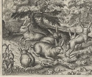 Fabel van de hazen en de kikkers
