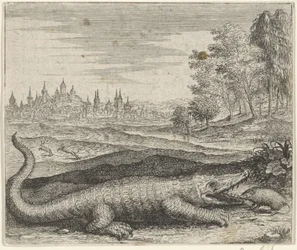 Fabel van de krokodil en mangoest