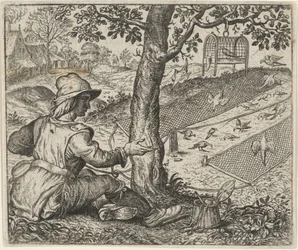 Fabel van de vogelaar