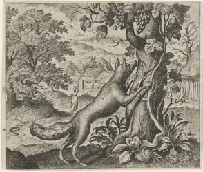 Fabel van de vos en de druiven
