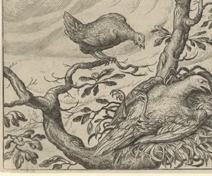 Fabel van de zieke gier