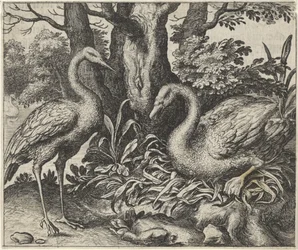 Fabel van de zwaan en de ooievaar