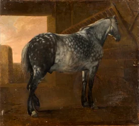 Een Schimmel