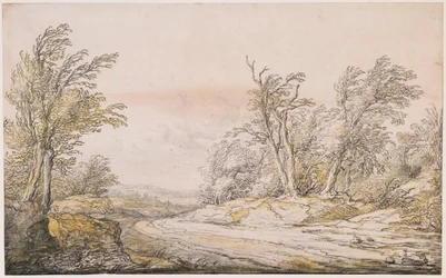 Een weg door de duinen
