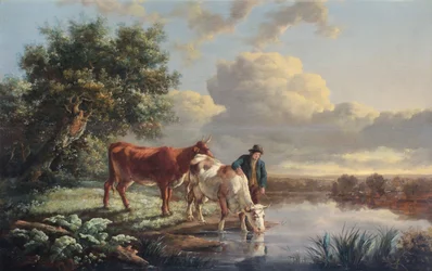 Runderen die drinken aan de rivieroever