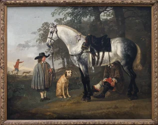 Grijs paard in een landschap