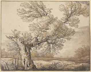 Landschap bij Dordrecht
