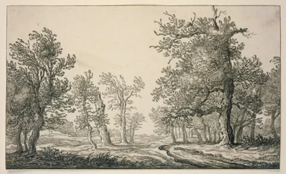Pad door een eikenbos