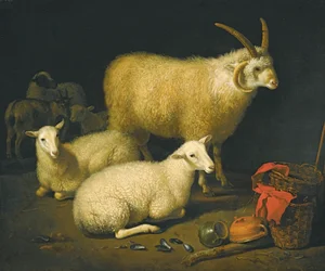 Schapen in een stal