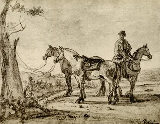 Drie paarden