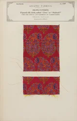 Geweven zijden doekmonster gemaakt in Herat, uit De Collectie van de Textielfabrikanten van India, door John Forbes Watson, gepubliceerd in 1866