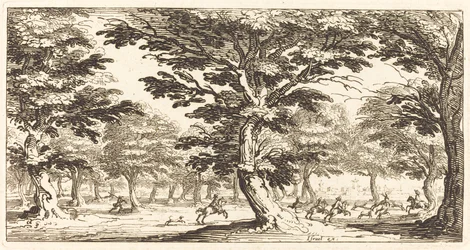 Landschap