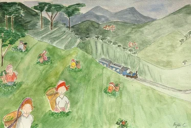 De reis, Darjeeling