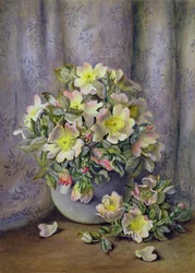 Stilleven van Rozen