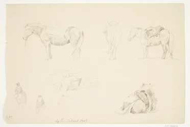 Studieblad met paarden