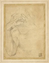 Studie van jaloezie