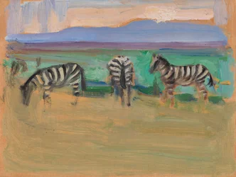 Zebra