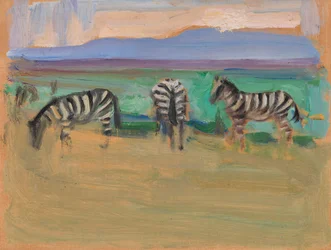Zebra