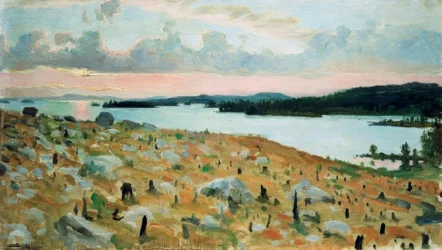 Gekapt Bos aan de Oever van het Kallavesi-meer