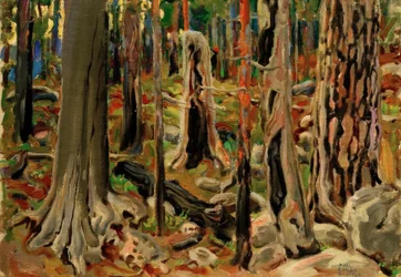 Het Verbrande Bos
