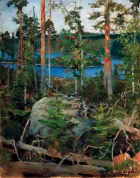 Landschap bij het Jamajärvimeer