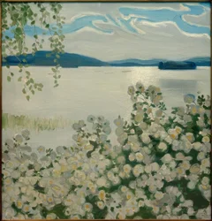 Witte rozen