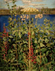 Wilde Angelica