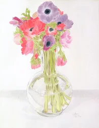 Anemonen