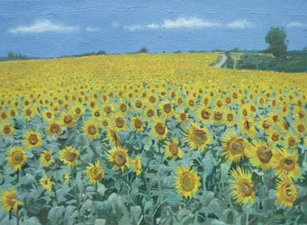Veld met zonnebloemen, 2002